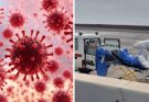 WHO finally issue statement on likelihood of hantavirus becoming the “next covid”